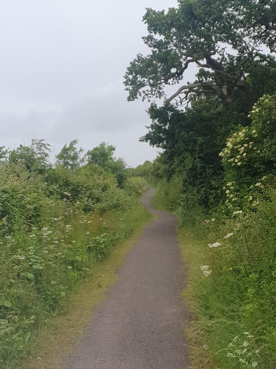 I tried to chase the blue sky  in my summer running gear but the rain won and I returned home cold and wet after a 7 miles. Thanks <a href="/RunComPod/">Running Commentary</a> for keeping me company and making me laugh as I got progressively grummpier about the weather,  I hope <a href="/DeeringRob/">Rob Deering</a> feels better soon.