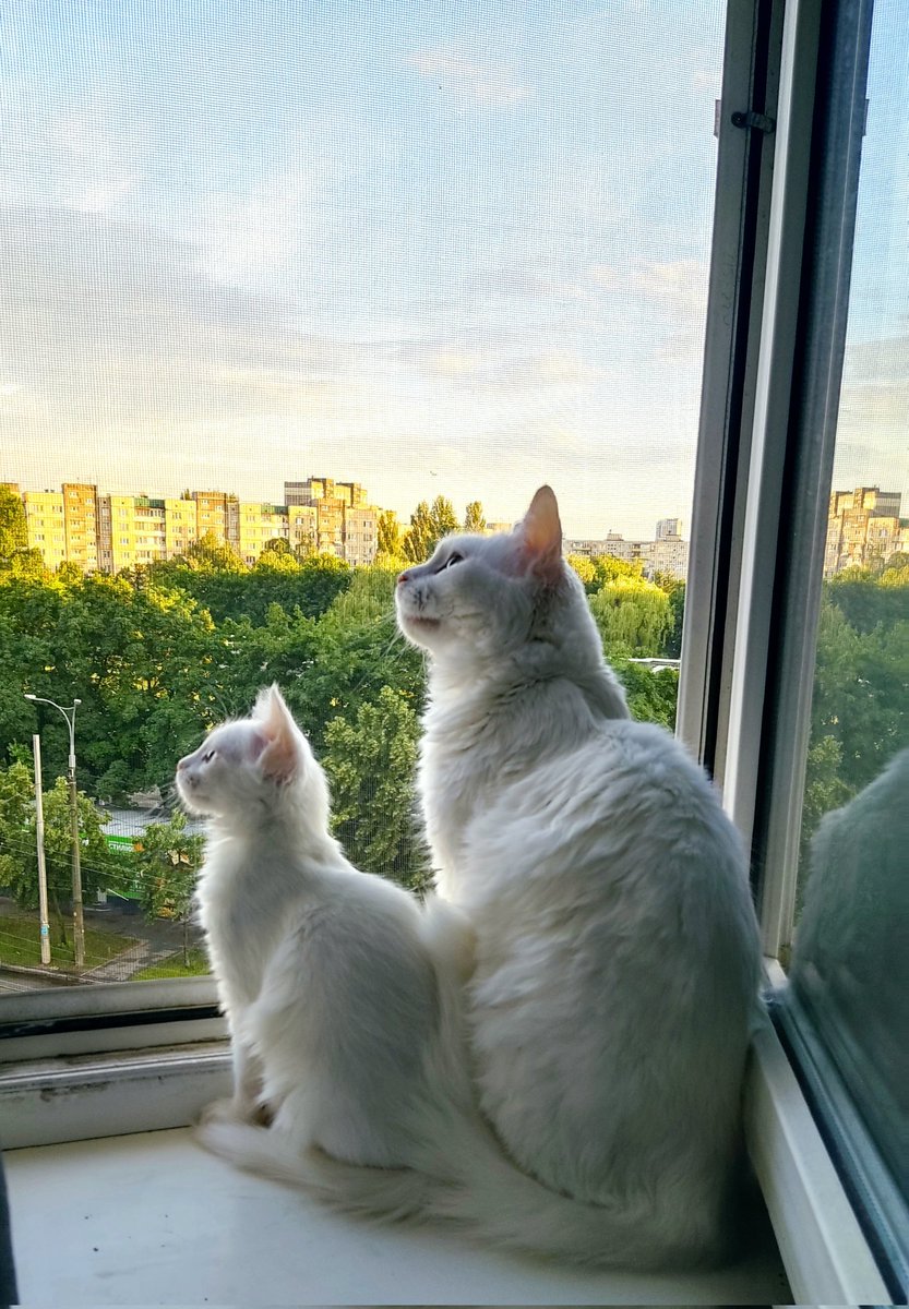 Який прекрасний міг би бути світ без русні.