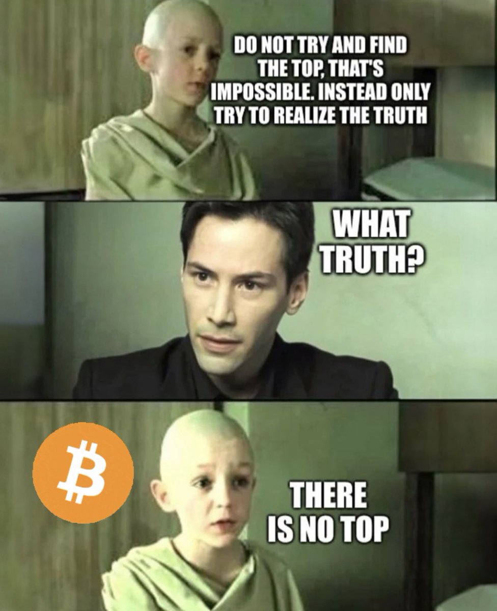 The ₿itcoin Therapist tweet media