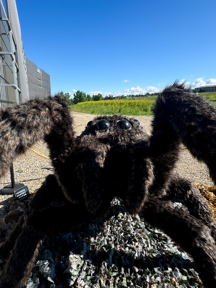 TELUS_Spark's tweet photo. Ok but why is this the cutest #selfie I've ever seen. 🥹

This #tarantula is more cutesie #critter than #creepycrawly! See more #MonsterInsects here at #TELUSSpark all summer long.

Check it out here : https://t.co/POZziSKPAr
#Sparkscience #SummeratSpark #BugsandBytes https://t.co/DVFLtPfU4T