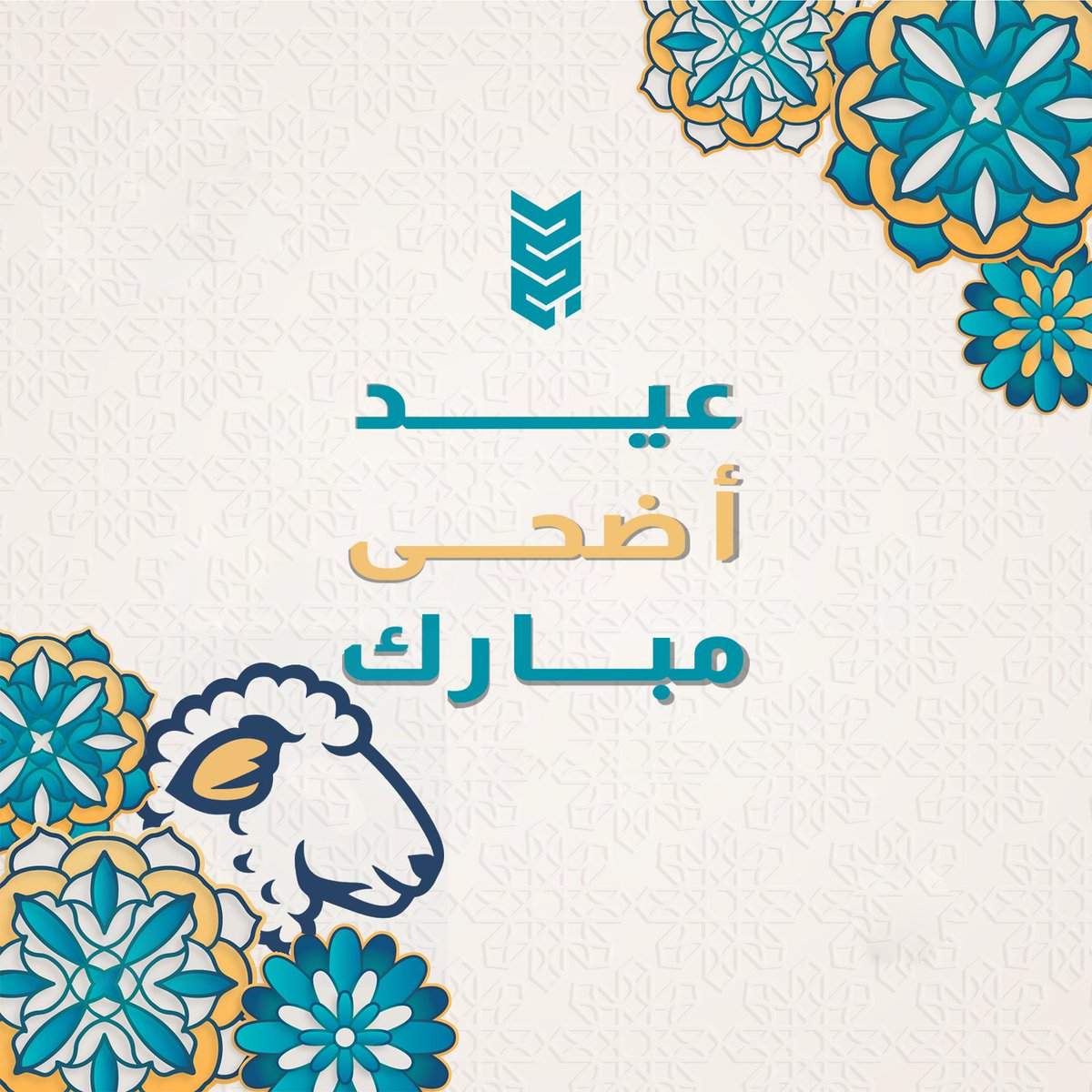 تقبّل الله من الحجاج سعيهم، وكل عام وأنتم بخير جميعًا ❤️