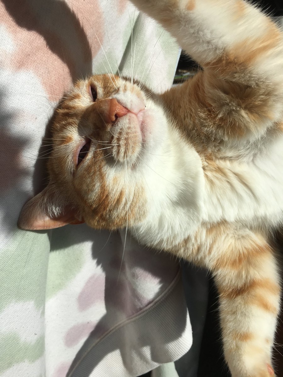 Ketamines (@ketamines) on Twitter photo 