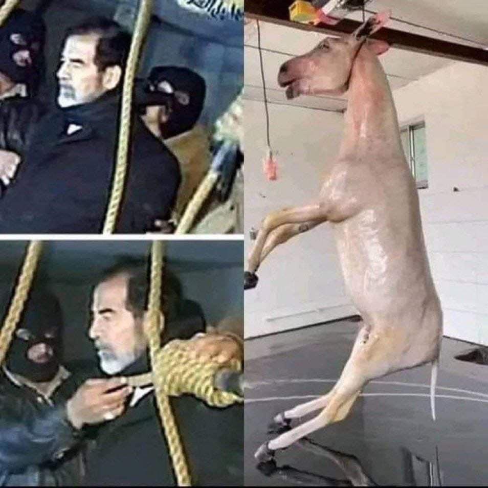 اكو ناس تضحي بعجل وناس تضحي بخروف وناس تضحي ب... طبعا اللي بعبه ....راح يعوّي.
#عيد_اعدام_صدام