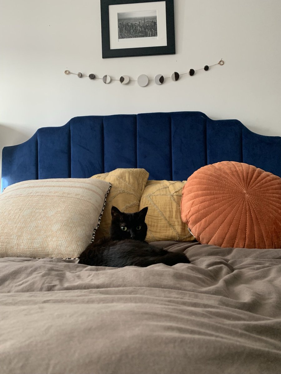 Brooks Brunson tweet media