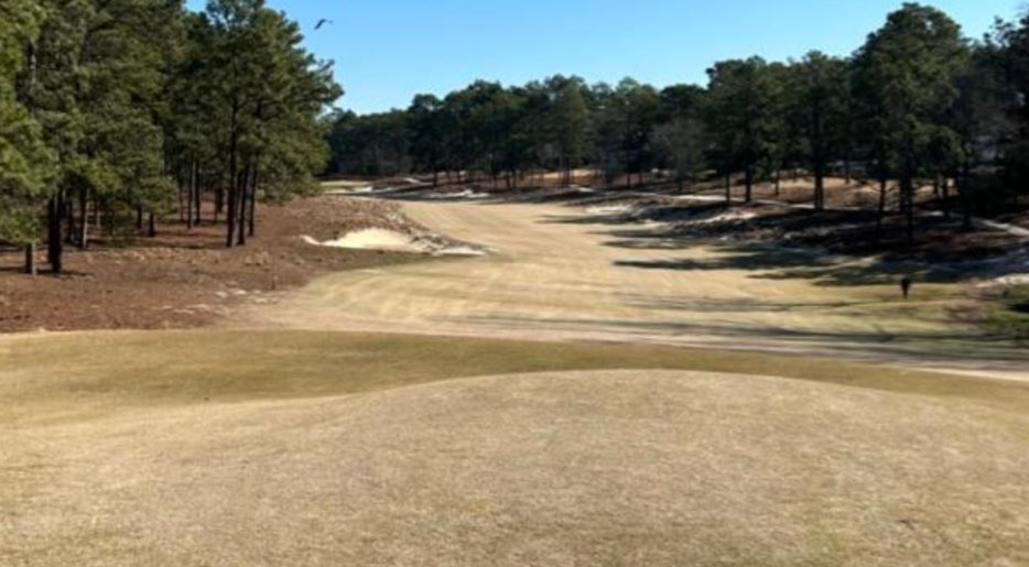 MiguelVegaTurf's tweet image. the Open of United States! They do grass brown like Miggy.