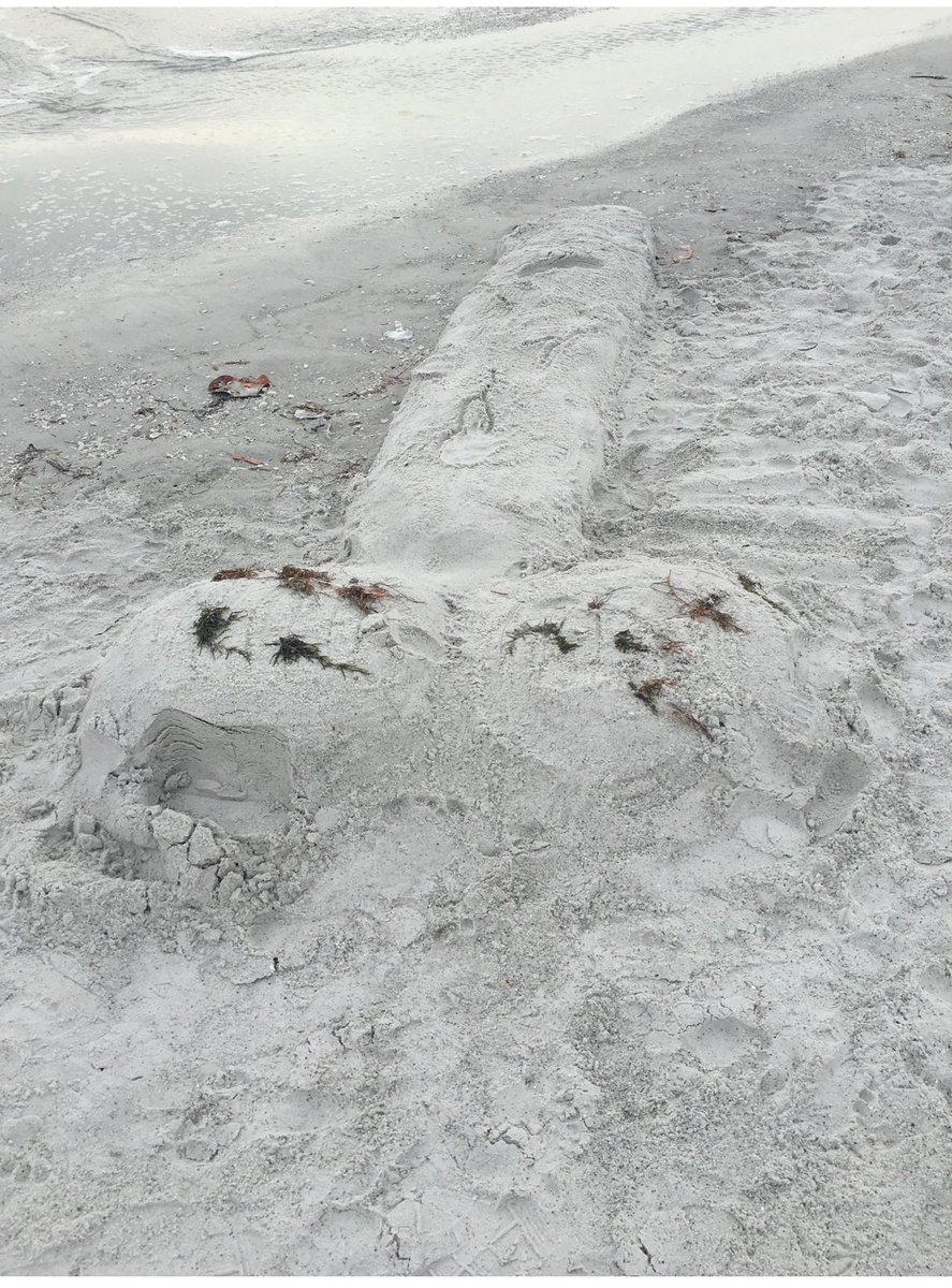 FredNolan4507's tweet photo. @difficultpatty I love the beach (especially walking up and down it) but frankly I’ve had nightmares since stumbling upon this on a walk a few years ago. https://t.co/ddFje4h3V1