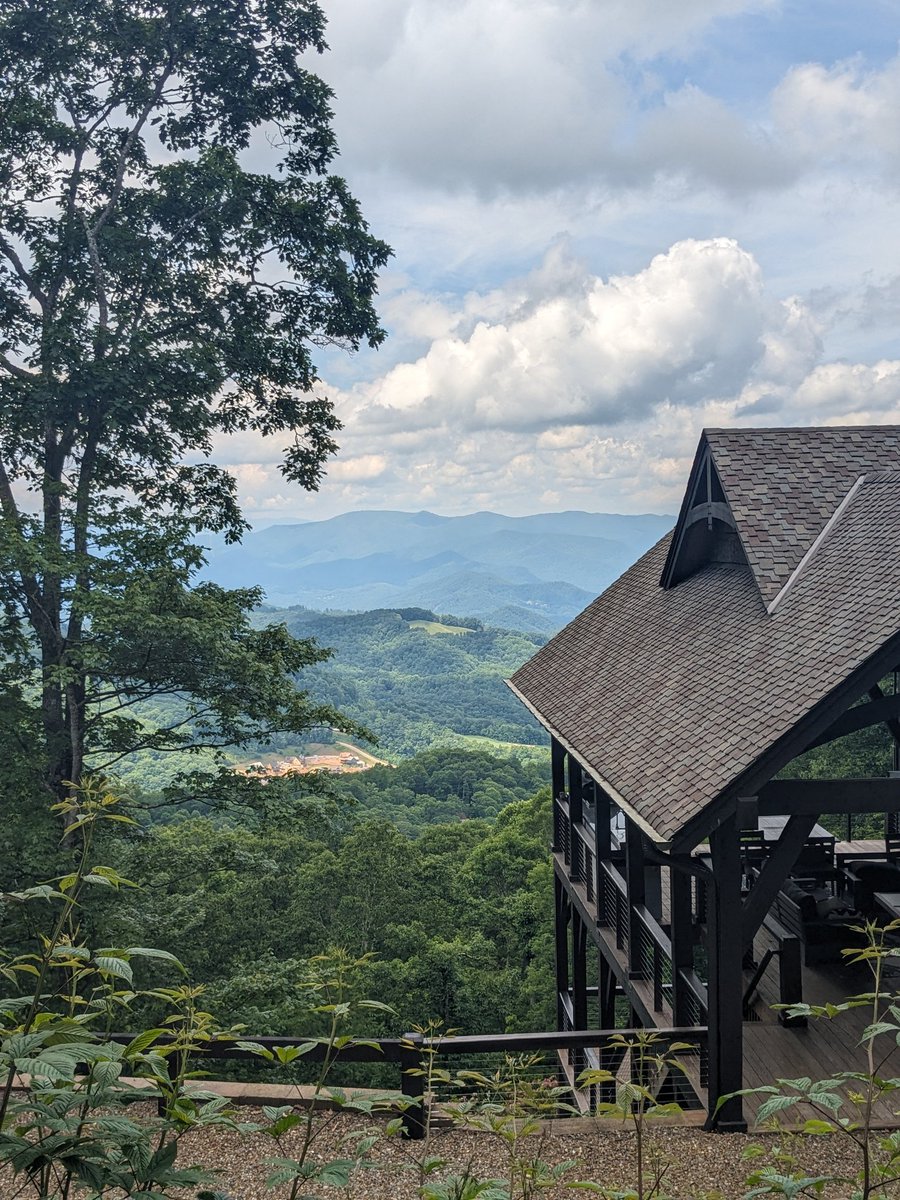 ArthropodQueen's tweet photo. Lots of firsts for the Clark-Hachtel lab this past week. First wild tardigrade field collection (we found some!) and first PCR (it worked!). The views for our field work are absolutely terrible around here 😉. @UNCABiology @UncAvl #tardigrade https://t.co/ILDDVi03Et