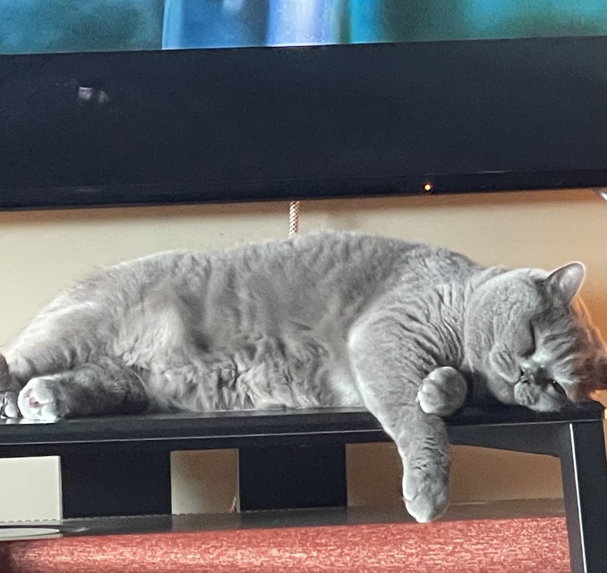 Watch me not the TV #Duke 💜