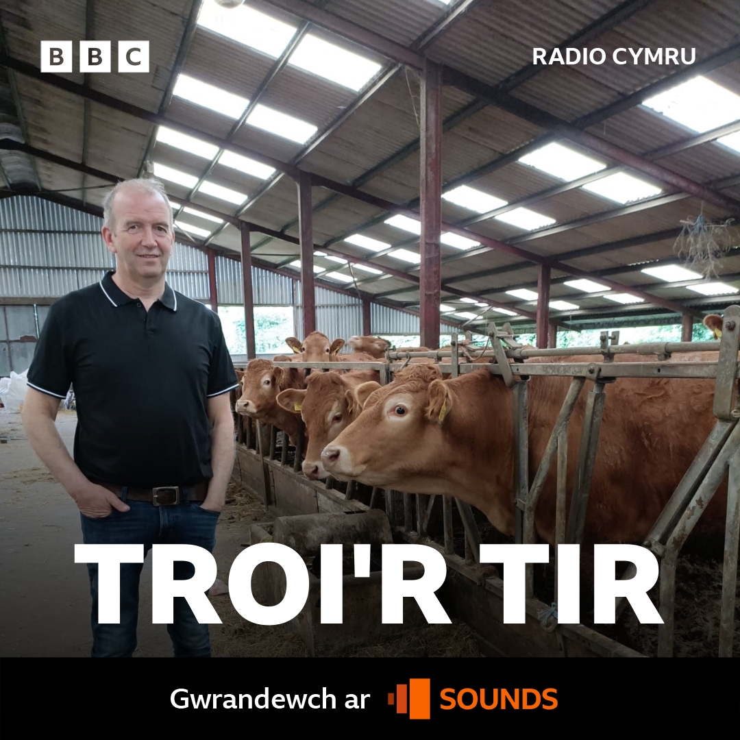 Terwyn Davies (@terwyndavies) on Twitter photo Bore fory ar Troi'r Tir am 7 ar <a href="/BBCRadioCymru/">Radio Cymru</a> - mae <a href="/meganeleri/">Megan Williams</a> yn sgwrsio gydag Aled Edwards, gan fod buches Dyfri Limousin yn dathlu 40 mlynedd eleni. Cofiwch wrando. Bore fory ar Troi'r Tir am 7 ar <a href="/BBCRadioCymru/">Radio Cymru</a> - mae <a href="/meganeleri/">Megan Williams</a> yn sgwrsio gydag Aled Edwards, gan fod buches Dyfri Limousin yn dathlu 40 mlynedd eleni. Cofiwch wrando.