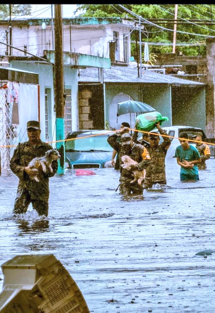 quintanaroonews's tweet photo. #Entérate En #Chetumal elementos del Ejército Mexicano rescatan a perros y gatos 🐶🐱👏👏🙏 A este suceso, muchos vecinos ayudan a las mascotas que encuentran. ¡Un gran aplauso para nuestros héroes! 👏👏🙏 https://t.co/8x3QwgRMPf
