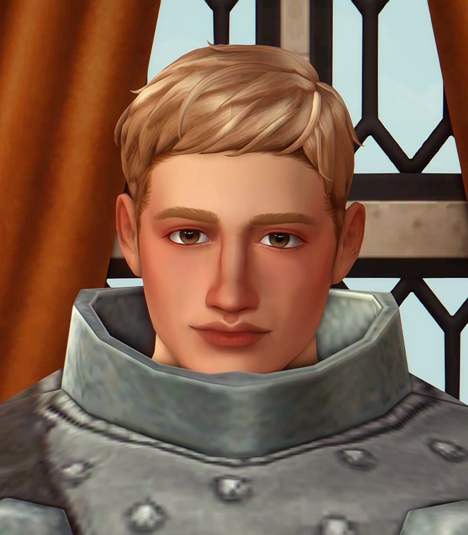 flukysims's tweet photo. an attempt at laios touden https://t.co/Dbt020SdtF