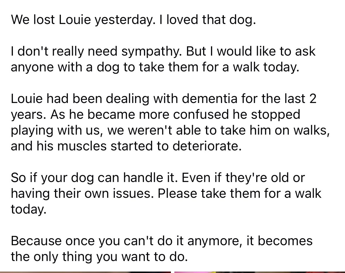 drunkwooky's tweet photo. My dog passed yesterday. 

Im hoping to get 100 people to walk their good boys and girls today. 

#walkyourdogs https://t.co/Ju3VuFwdSk