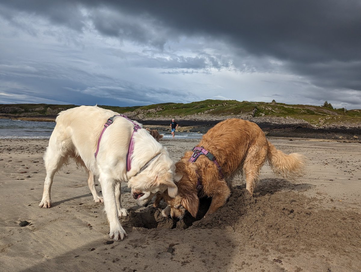 First glimpse of Erynn's beach! The girls were so happy to arrive and I had an amazingly exhilarating sea swim ☀️🌊💖