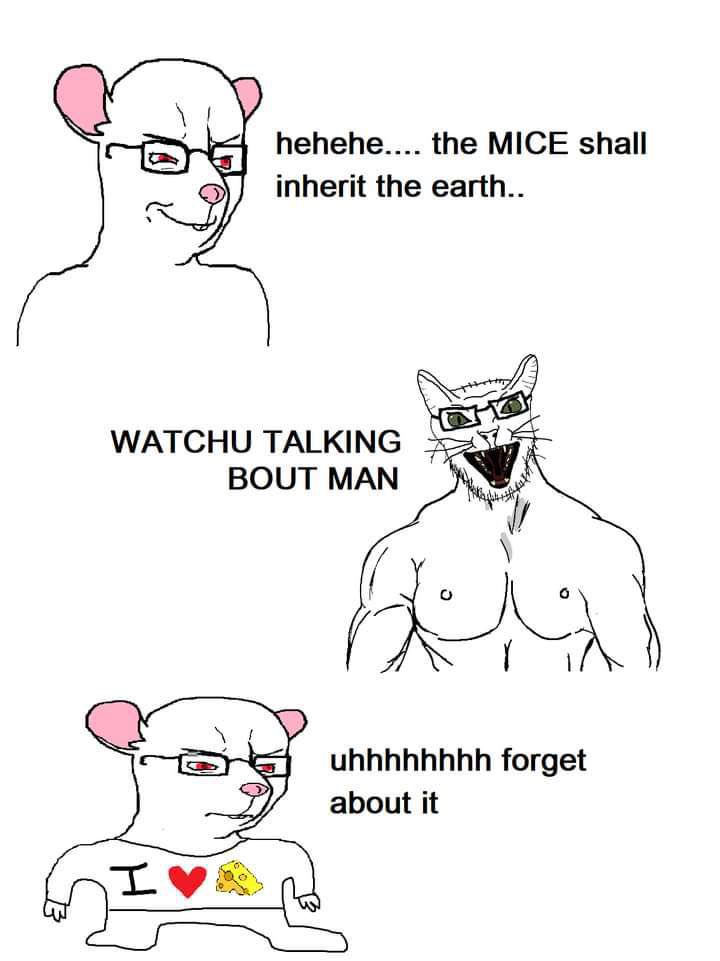 ShitpostGate's tweet photo. https://t.co/yHtFuCR2dc