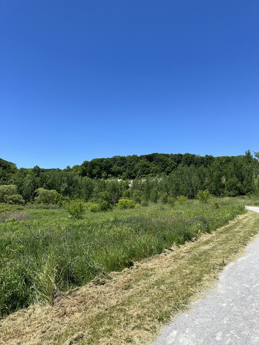 KennethJull's tweet image. The power is out up north but we enjoyed the nature of Toronto Brick Works