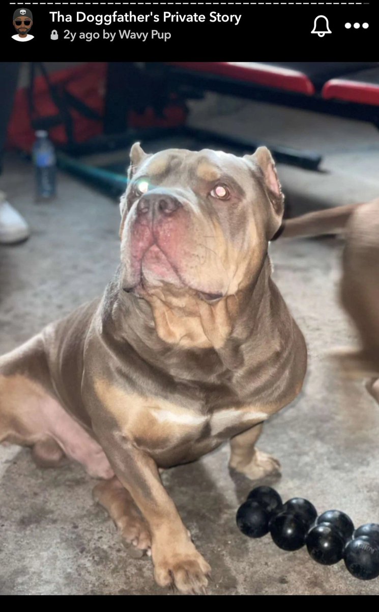 TdotStateofMind's tweet image. RIP to an original member #BigPun got allot of memories with you, that I&apos;ll never forget #AllDogsGoToHeaven 💔 🕊