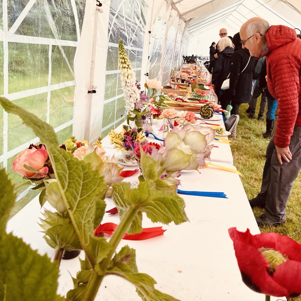 Make/Shift (@make_shiftav) on Twitter photo Brilliant afternoon at Heanor Horticultural Show chatting #communitygrowing, #pocketgardens, #nextdoornature #creativity and new possibilities with <a href="/grow_outside/">Grow Outside C.I.C.</a>. So many makers, bakers and growers celebrating their skills, produce & passions together ✨🧁🥕🛠️🧶🪡🎨🧵🌱✨ Brilliant afternoon at Heanor Horticultural Show chatting #communitygrowing, #pocketgardens, #nextdoornature #creativity and new possibilities with <a href="/grow_outside/">Grow Outside C.I.C.</a>. So many makers, bakers and growers celebrating their skills, produce & passions together ✨🧁🥕🛠️🧶🪡🎨🧵🌱✨