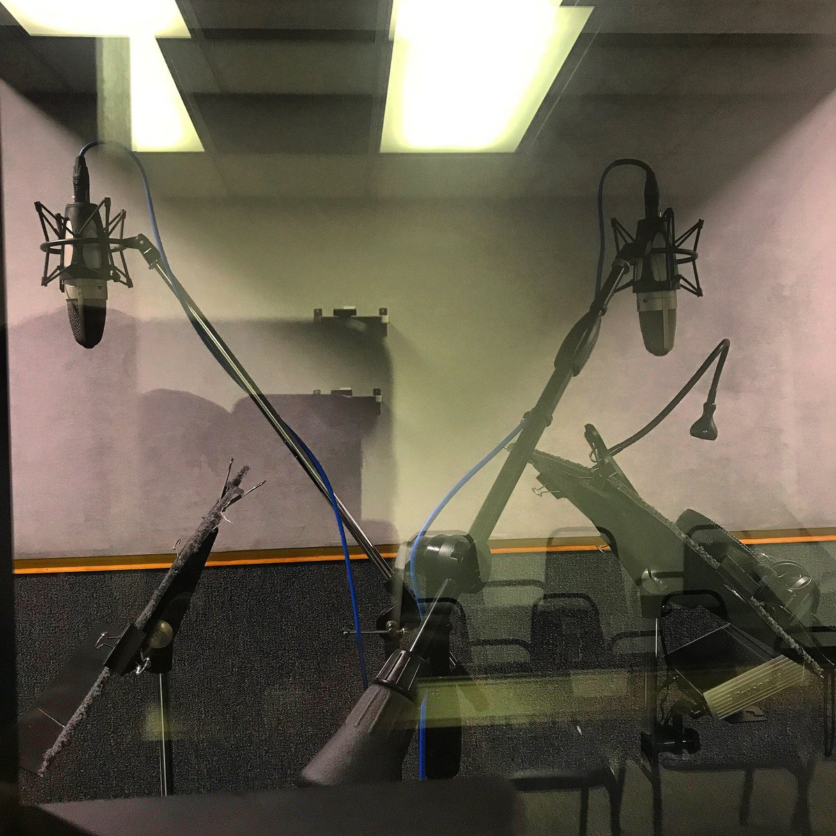 RealVoiceLA's tweet photo. Partner reads are always a blast 🎙️💵🌮

#volife #studio #recording #videogameactor #videogames #anime #actor #voiceactors #voiceacting #voiceactress #actress #voiceovertalent #actorslife #voiceactor #vo #studiolife #postproduction #dubbing #anime #sourceconnect #microphone https://t.co/LtEfDs4CdM
