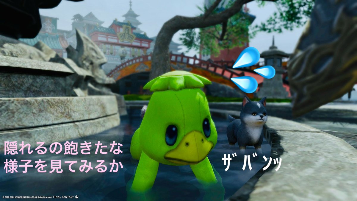 PuriNnff14's tweet photo. まだまだ https://t.co/nAexrbKkWg