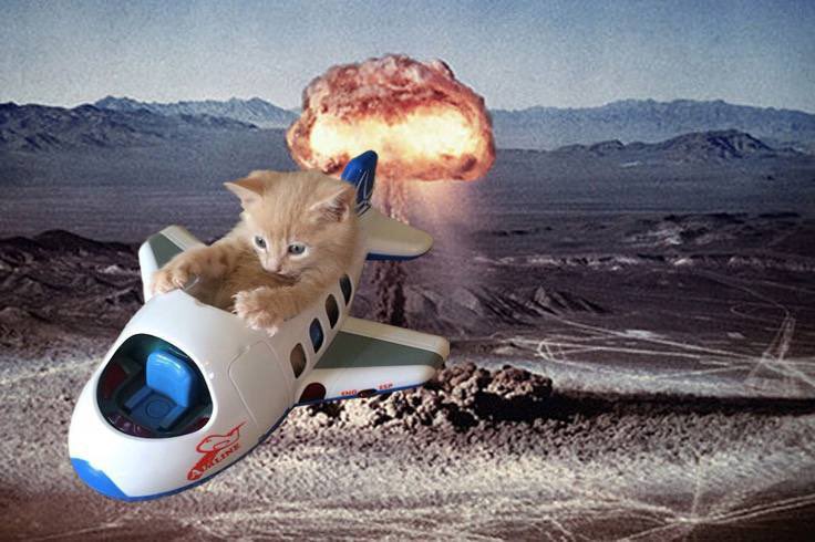 0xprimeEth's tweet photo. @SpiderCrypto0x Cat meta is here Spider, 
Don’t get missed on $ZOOM cat 🔥

More 6.6k in live stream https://t.co/bW8NMLRjwl