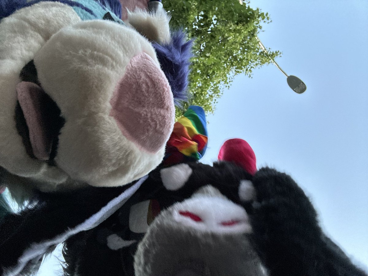 AloeVBB's tweet photo. Woaaah what mischievous activities are happening now 👀👀👀🐐 https://t.co/obuqNwoKLn