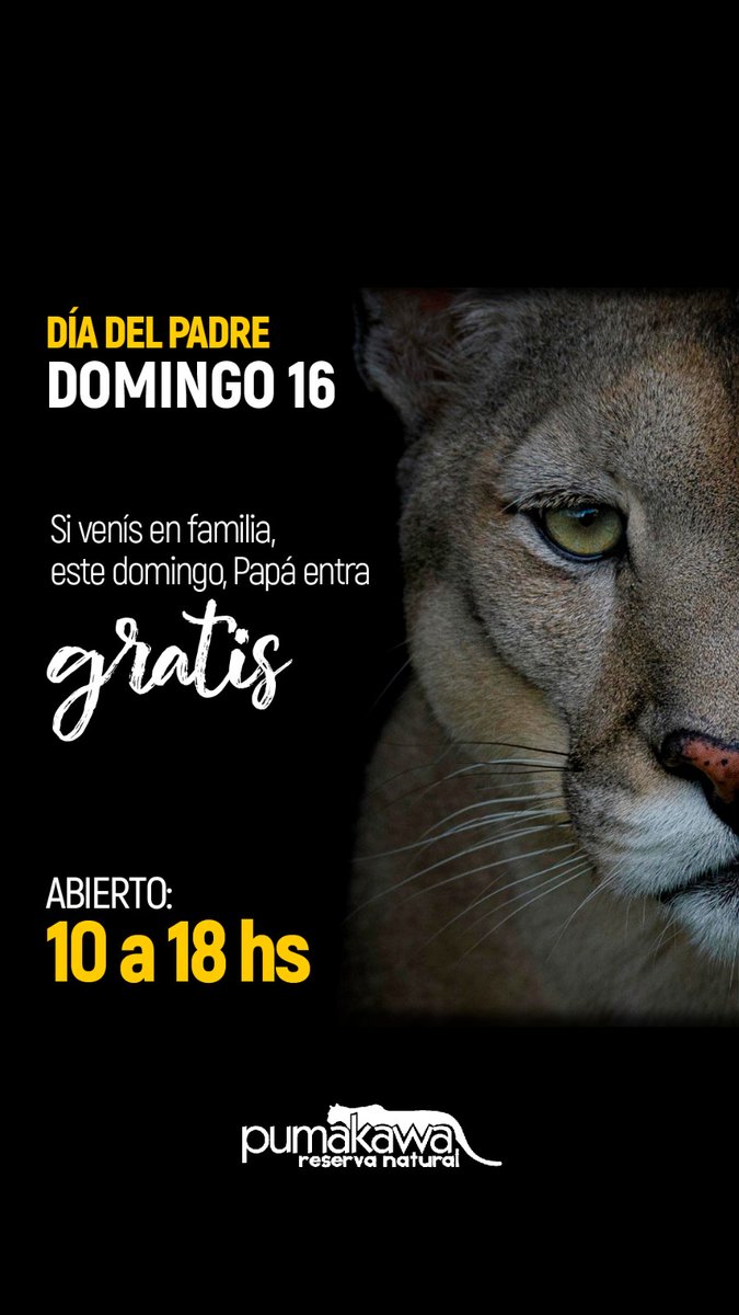 Este domingo, día del padre, a los que vengan en familia, el papá, entra gratis.