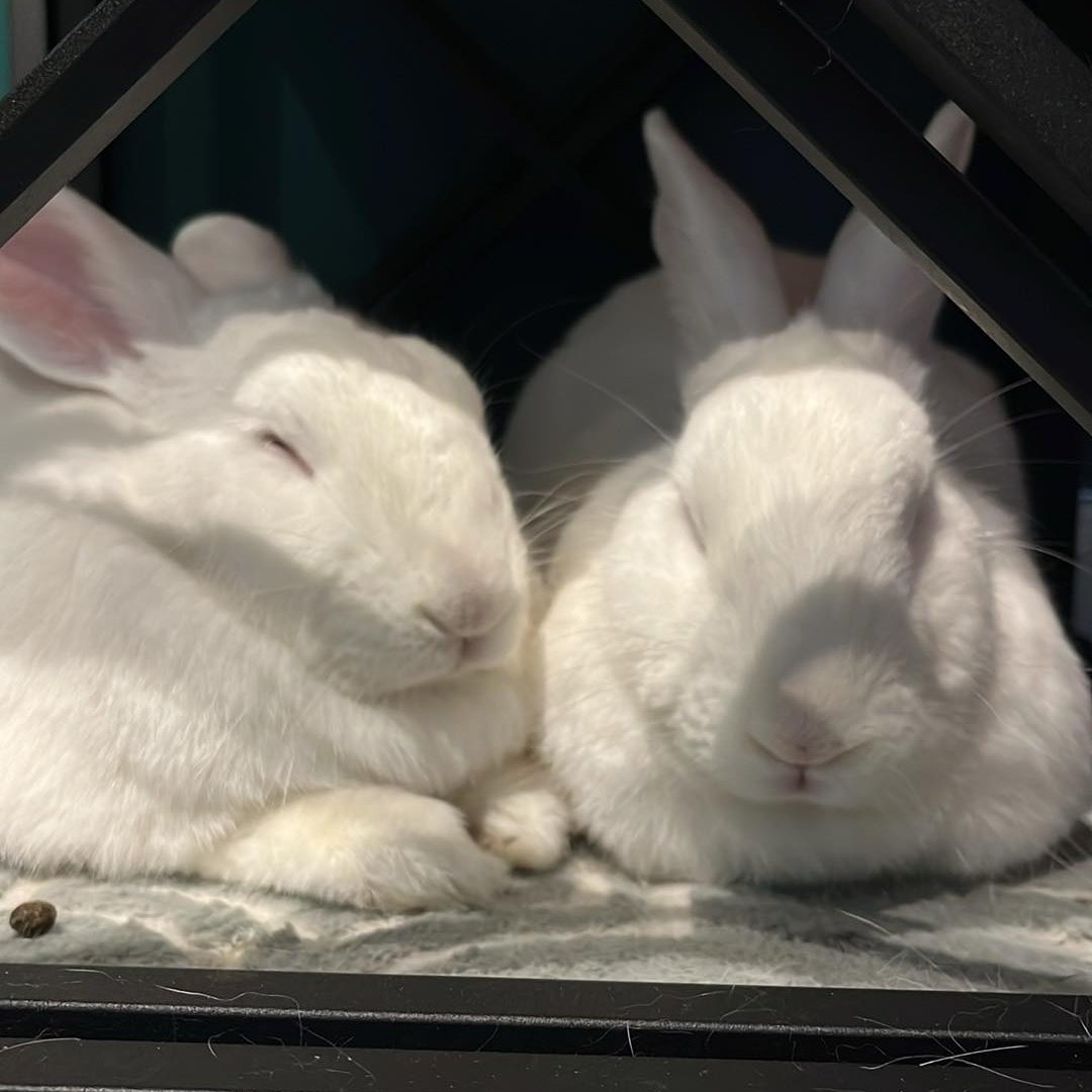 #NouvellePhotoDeProfil