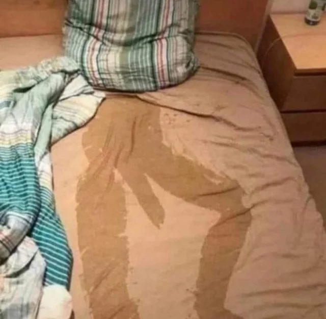 Alex Pettas tweet media