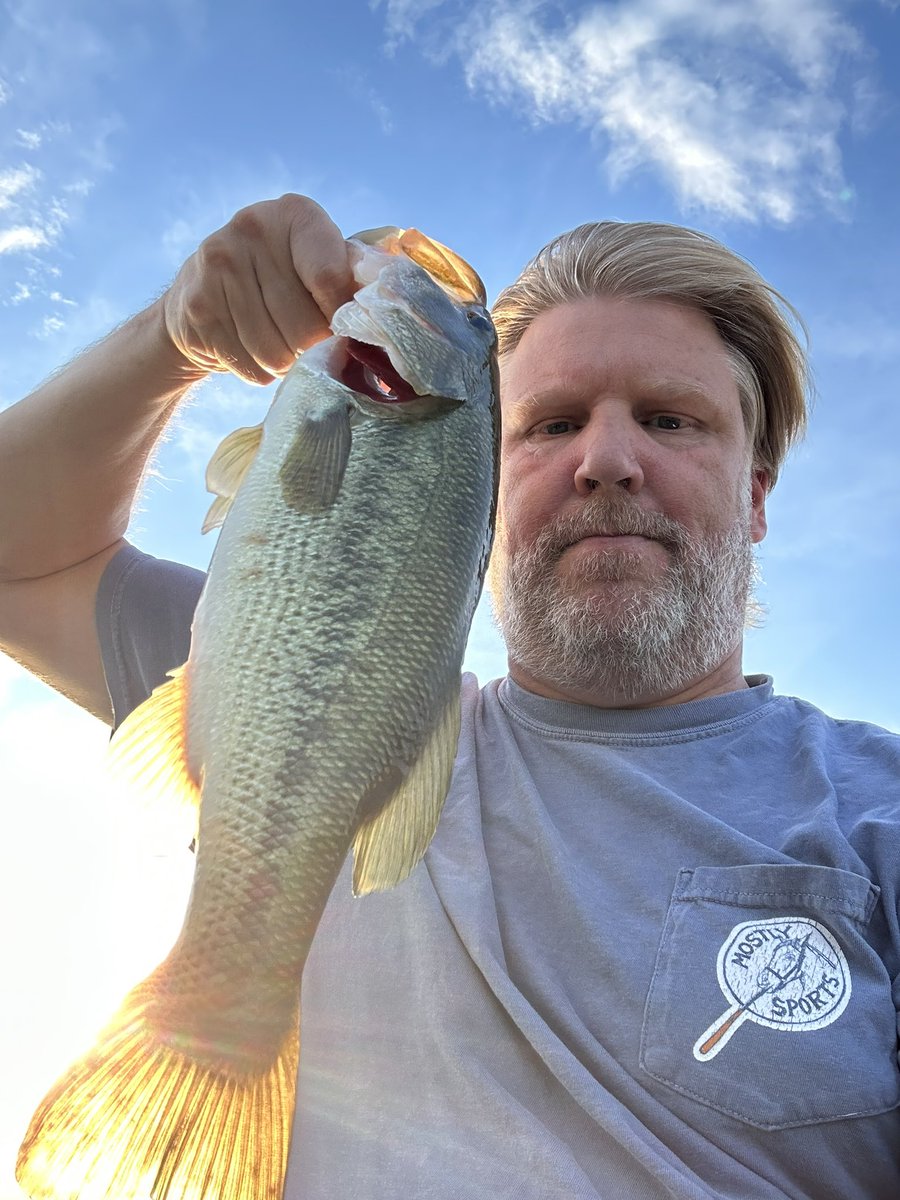 Brandon Walker tweet media