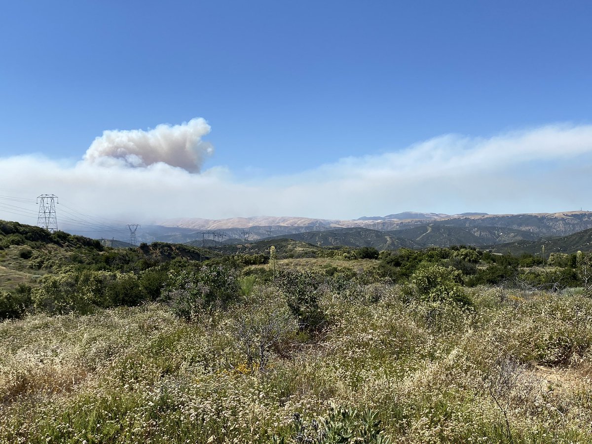 MatthewABerdyck's tweet image. The #PostFire from .5 acres to 3000+ acres. #Fire #Lebec #Gorman