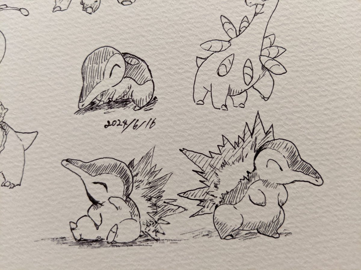 ヒノアラシ 金銀の相棒は彼だった ゲームによっては背中の炎が消えてるのでこじんまりしてる印象だった SVは常に出てる? カキカキ。 