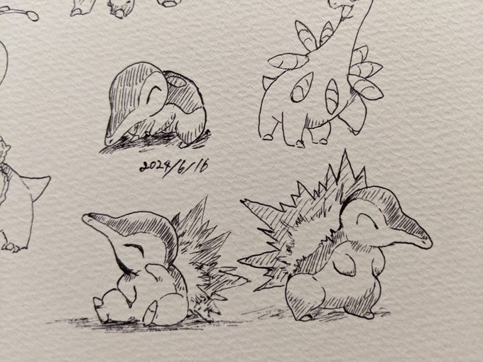 ヒノアラシ 金銀の相棒は彼だった ゲームによっては背中の炎が消えてるのでこじんまりしてる印象だった SVは常に出てる? カキカキ。 