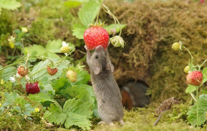 Anyone else feel like this? https://t.co/f5OA9dye5t