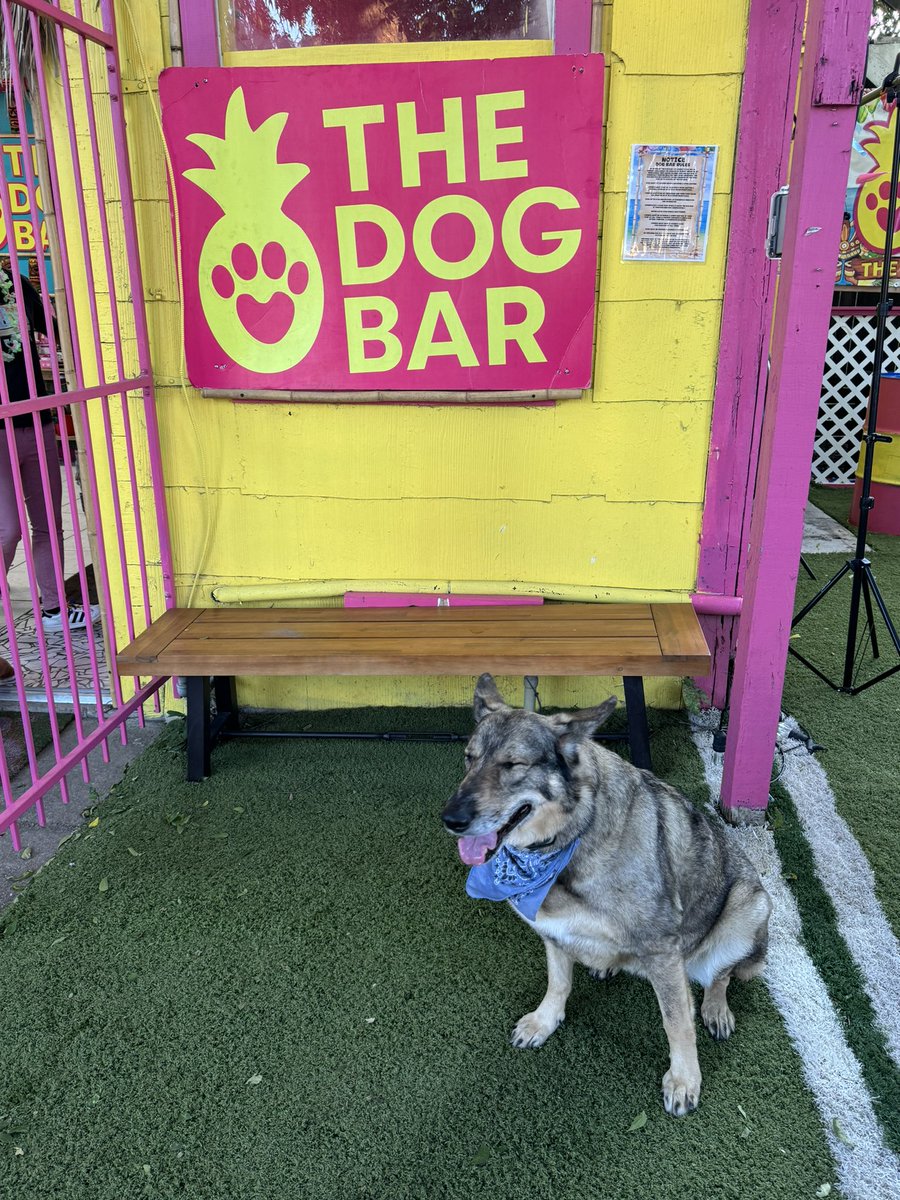 Helen Clancy, MSW tweet media