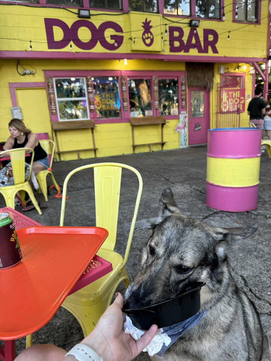 Helen Clancy, MSW tweet media