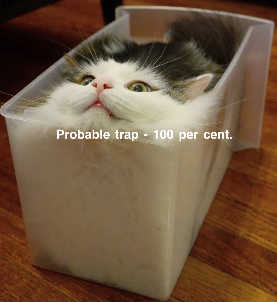 Catsquotingdw's tweet photo. #doctorwho #doctorwhoquotes #drwhoquotes #drwho #cats #bbc #sciencefiction #classictv #culttv #tombaker #petercapaldi #mattsmith #davidtennant #christophereccleston #paulmcgann #sylvestermccoy #colinbaker #peterdavison #jonpertwee #patricktroughton #williamhartnell #ncutigatwa https://t.co/MIfw7z6Sss