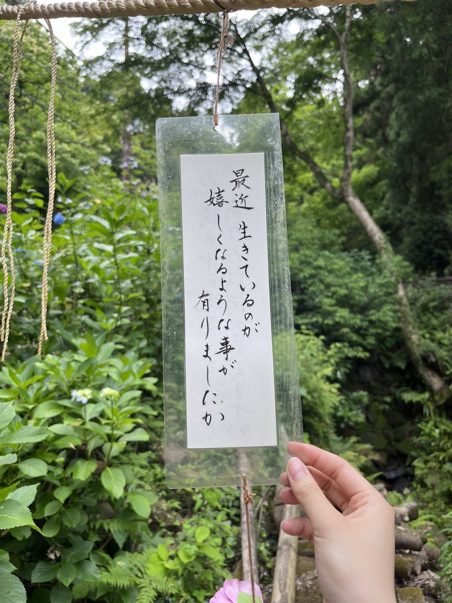nftyoi's tweet photo. いいことありますように https://t.co/PYfTSgUNR0