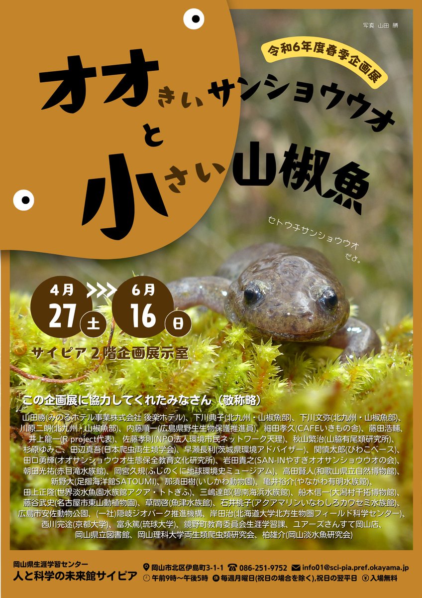 オオきいサンショウウオと小さい山椒魚」最終日！ #オオサンショウウオ
