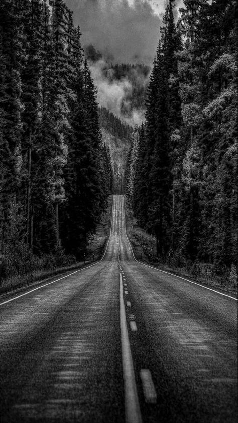 thevaliantbro's tweet photo. When we hit our lowest point, we are open to the greatest change. https://t.co/Iu4y4Kh7LL