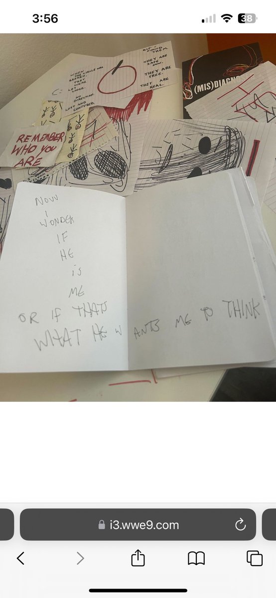 Patrick68975739's tweet photo. The date on the journal is 11-18-22. LA Knight smacked Bray that night. This is Brays journal. Some of the entries date back to when Bray was alive. Uncle Howdy was a manifestation of Brays fear. An incarnation of Brays Nightmares. #unclehowdy #clashatthecastle #WWECastle https://t.co/avMd2CYmik
