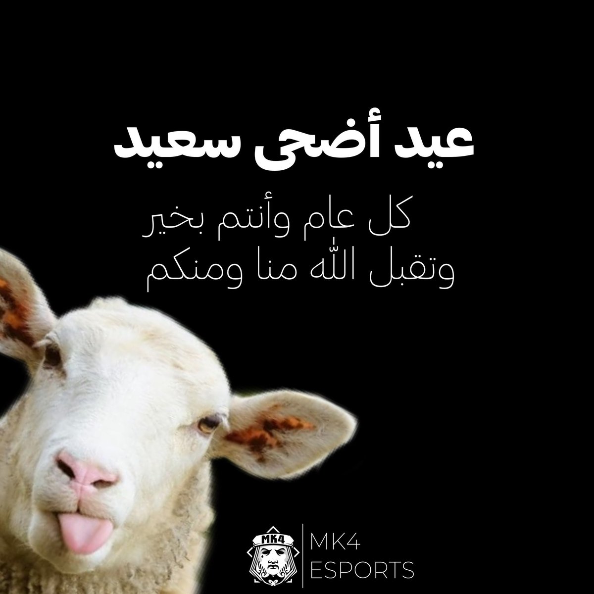 MK4eSports's tweet photo. نهنئكم بحلول #عيد_الأضحى المبارك 🐏✨

كل عام وأنتم بخير 
وتقبل الله منا ومنكم 

#MK4ESPORTS https://t.co/LlF9anicXI