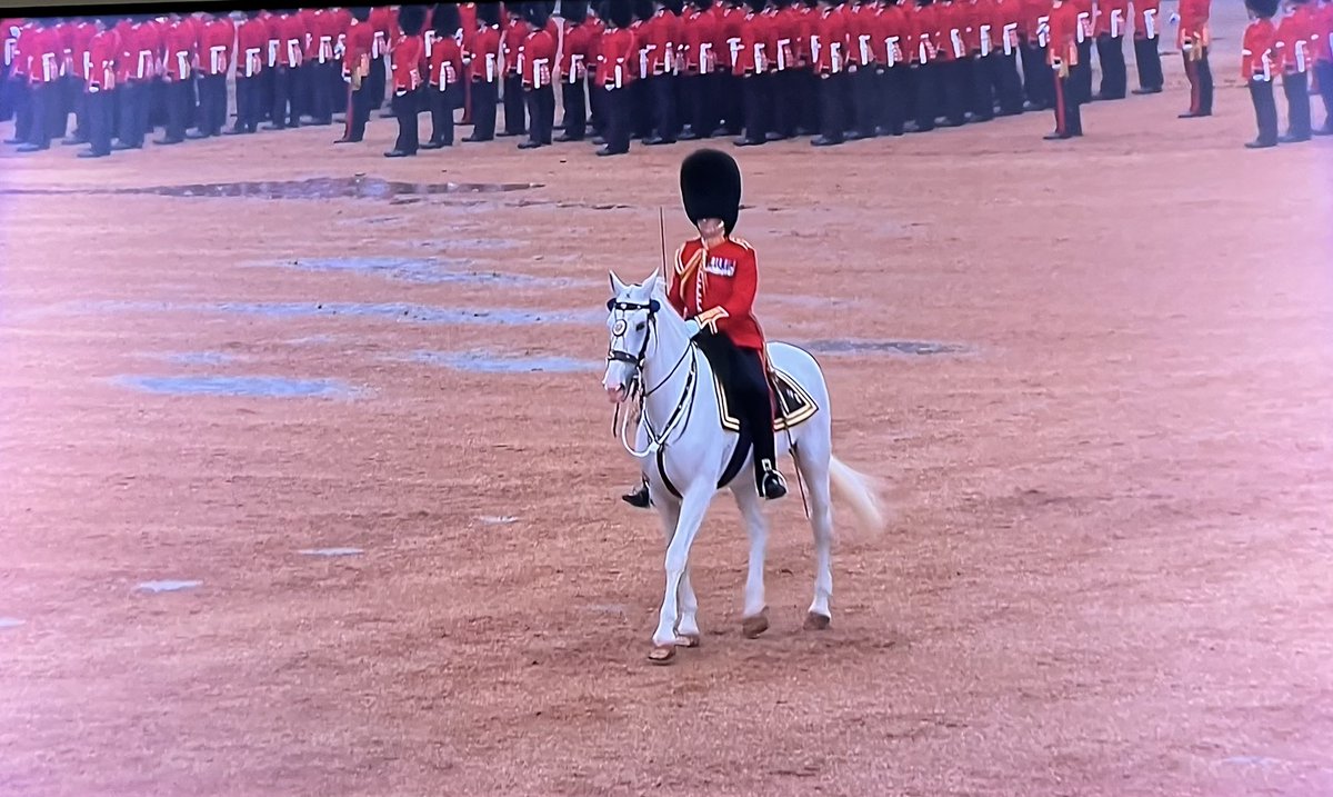 So you meet a lovely chap called Lt Col James Colbey at a wonderful fundraising dinner for <a href="/ArmyBenFund/">Army Benevolent Fund</a> and then 3 days later you’re watching him on his white horse leading the #TroopingtheColour parade.. How cool is that?!