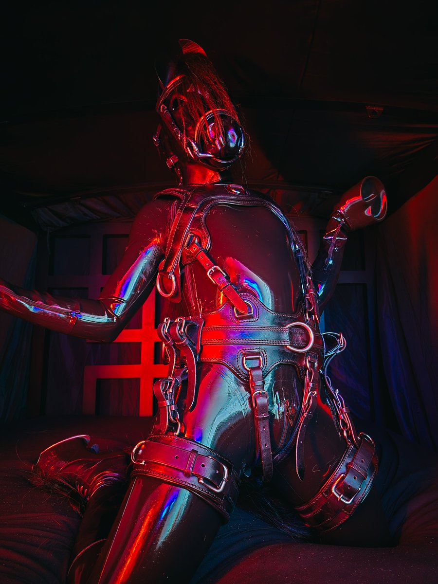 Pulsating Squelch ⚫🟣 tweet media