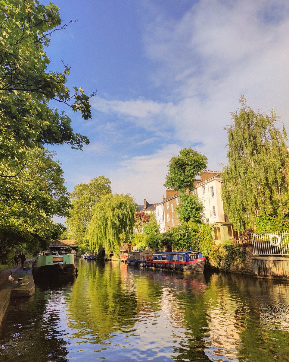 Jorge Medina tweet media