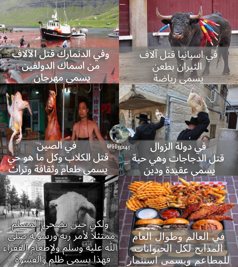 H35245's tweet photo. عالم منافق دجال وشيطاني، مشارك في قتلنا وذبحنا بكل بقعة على هذه الأرض ! فماذا تنتظر منه ؟ https://t.co/kYBVGTnWna