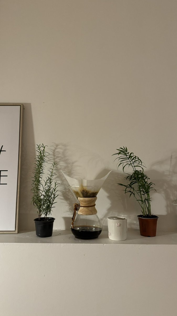 شجـرة🌿 tweet media