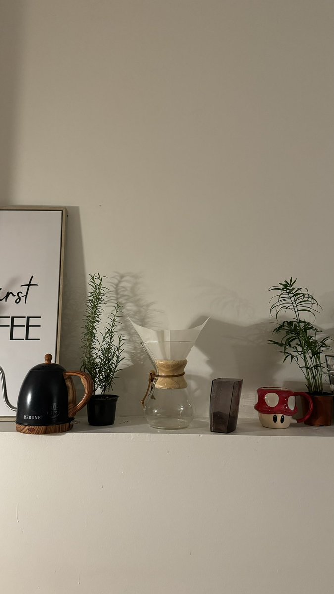 شجـرة🌿 tweet media