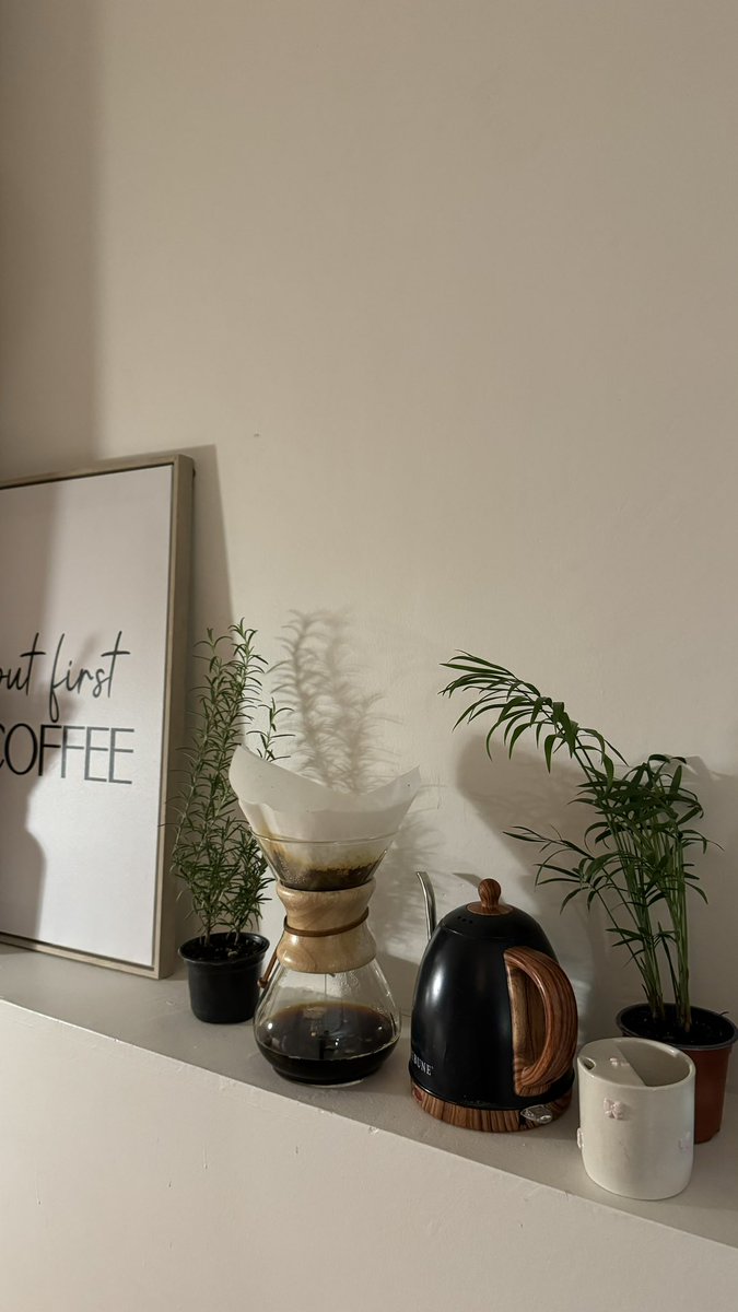 شجـرة🌿 tweet media