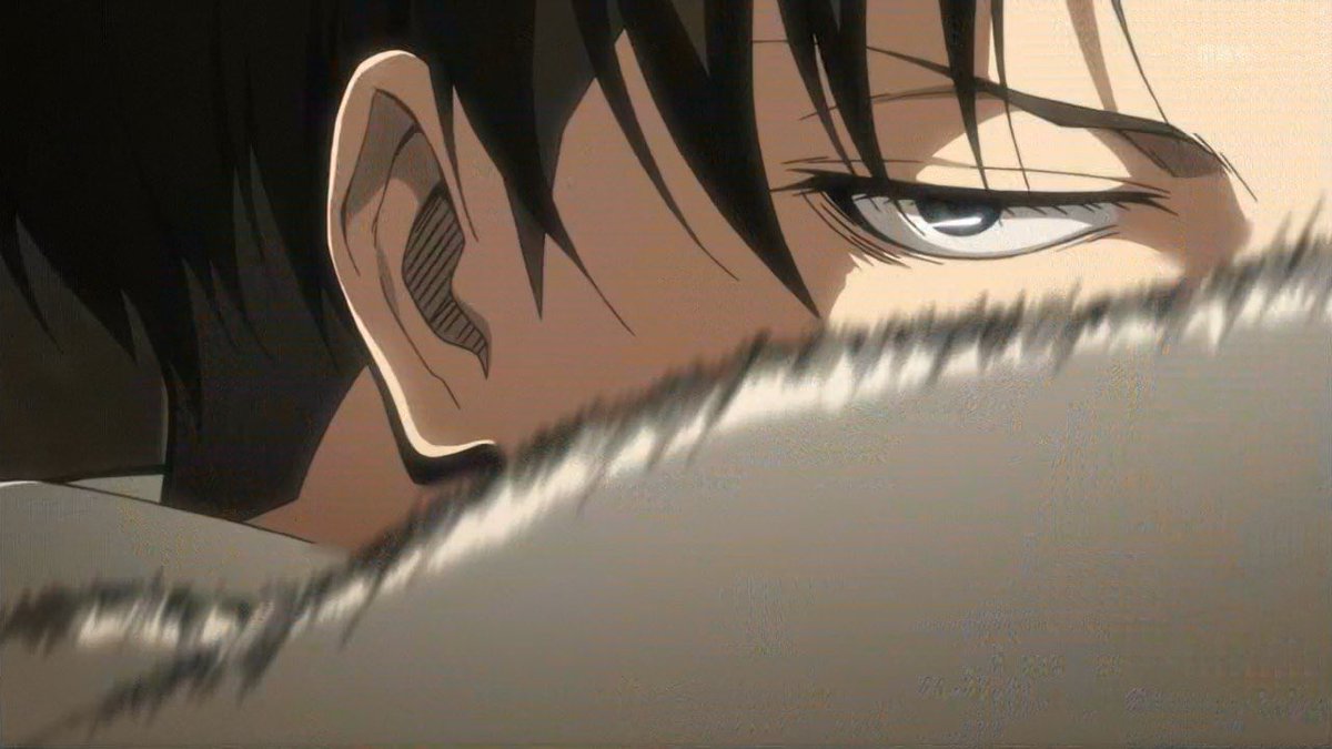 221 days since aot finale aired and I still can't get over levi ackerman