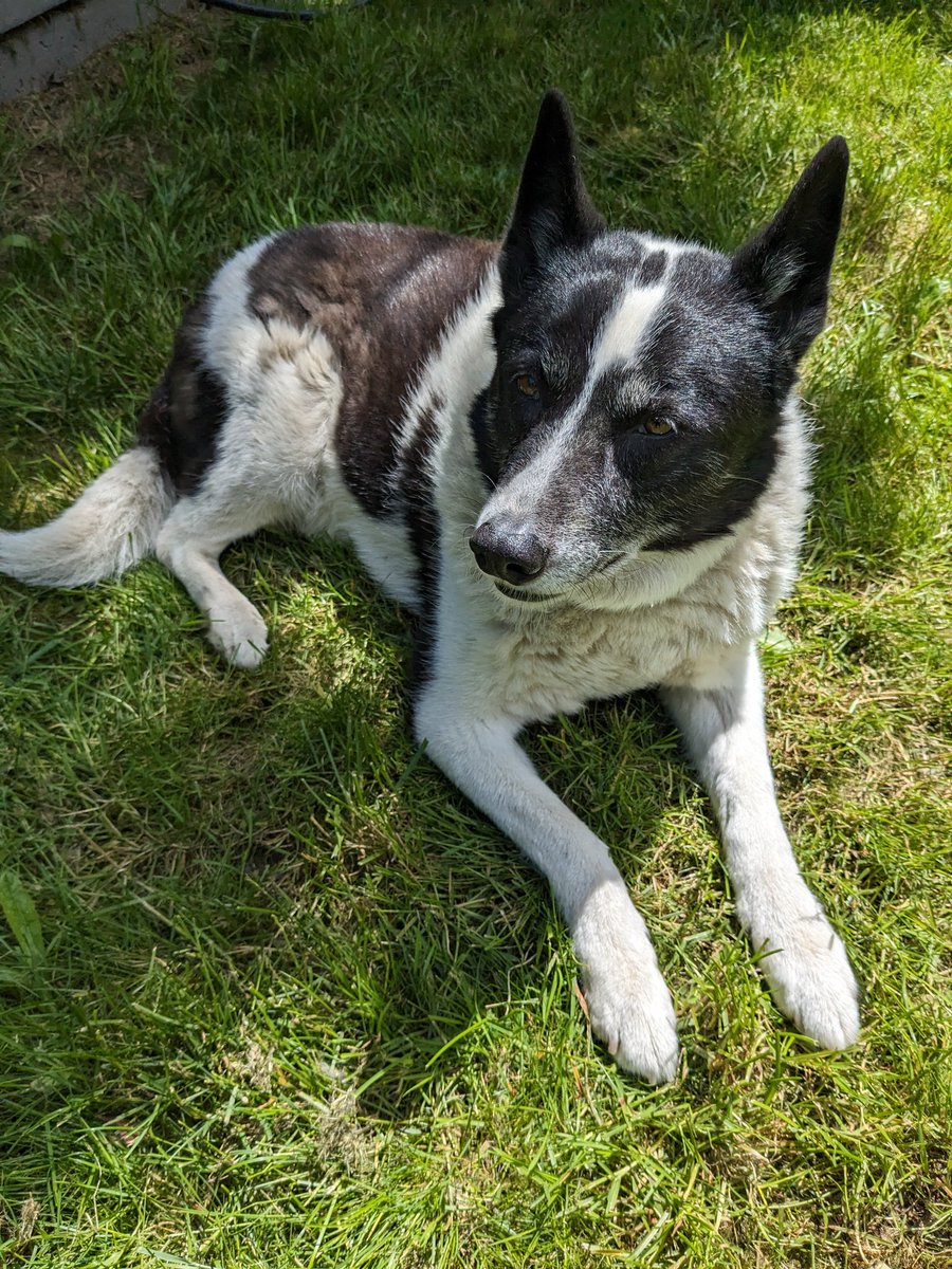 Sabine is happy that the school year is nearly over.